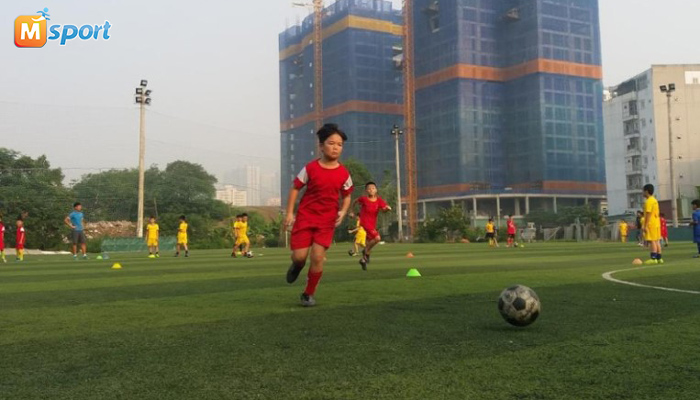 sân bóng mỹ đình 2