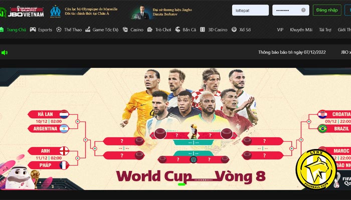 cá cược bóng đá online