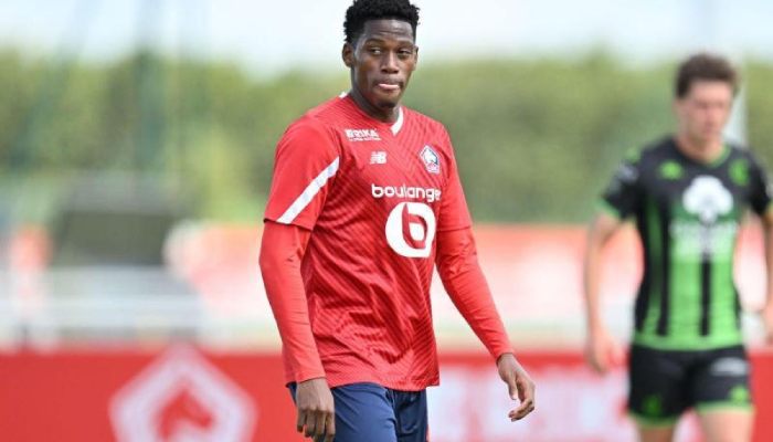 cầu thủ ghi bàn nhiều nhất Ligue 1