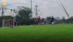 Sân bóng Tân Triều – Thông tin chi tiết: Địa chỉ, SĐT, Giá thuê