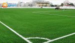 Sân bóng Hồng Hà – Thông tin chi tiết: Địa chỉ, SĐT, Giá thuê