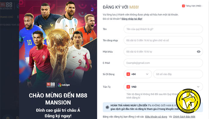 cá độ bóng đá trực tuyến
