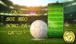 Cách soi kèo bóng đá cực chuẩn [Cập nhật 2023]