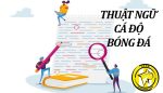 Thuật ngữ cá độ bóng đá thông dụng nhất 2023
