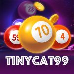 TINYCAT99 – Trang Đăng Ký Chính Thức – Nhà Cái Lô Đề Top 1 Việt Nam