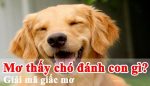 Mơ thấy chó đánh con gì? Con chó mang số mấy trong lô đề, xổ số